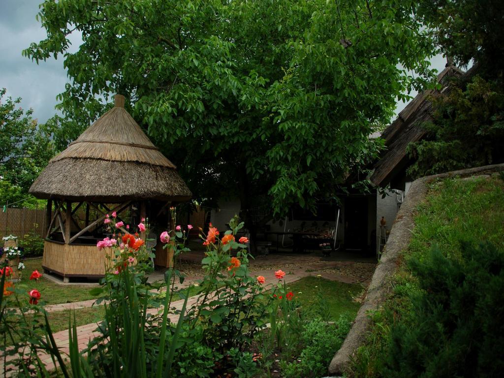 Natura Vendeghaz Pazmand المظهر الخارجي الصورة
