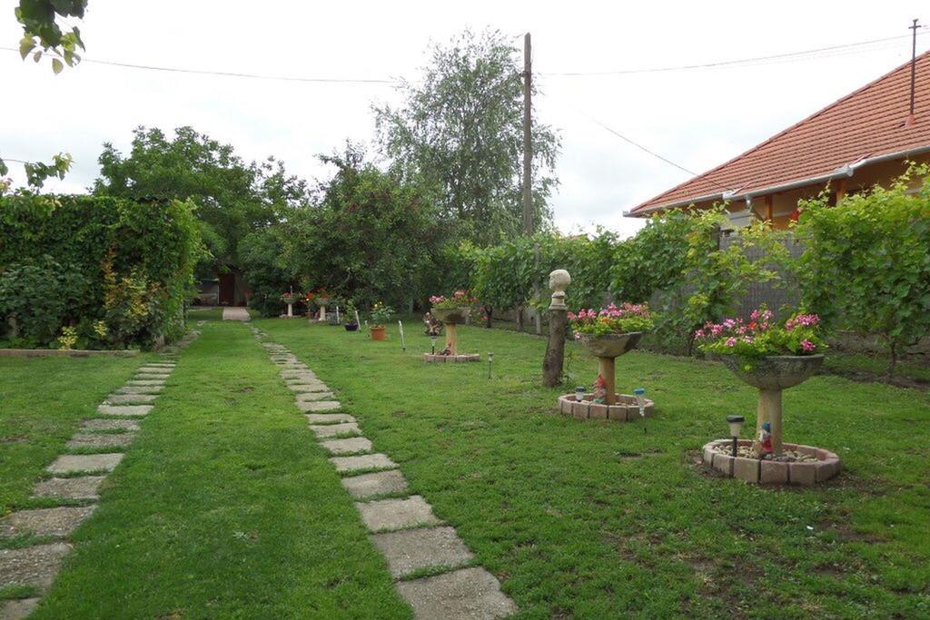 Natura Vendeghaz Pazmand المظهر الخارجي الصورة